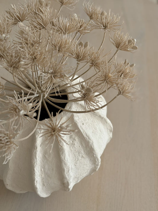 Vaas Maleko Beige Studio Bella